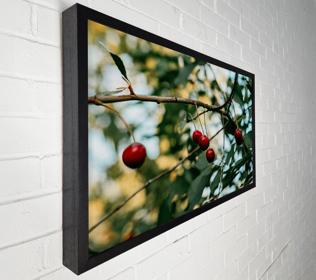  A Canvas Print of Red Cherries Hanging High Canvas Art