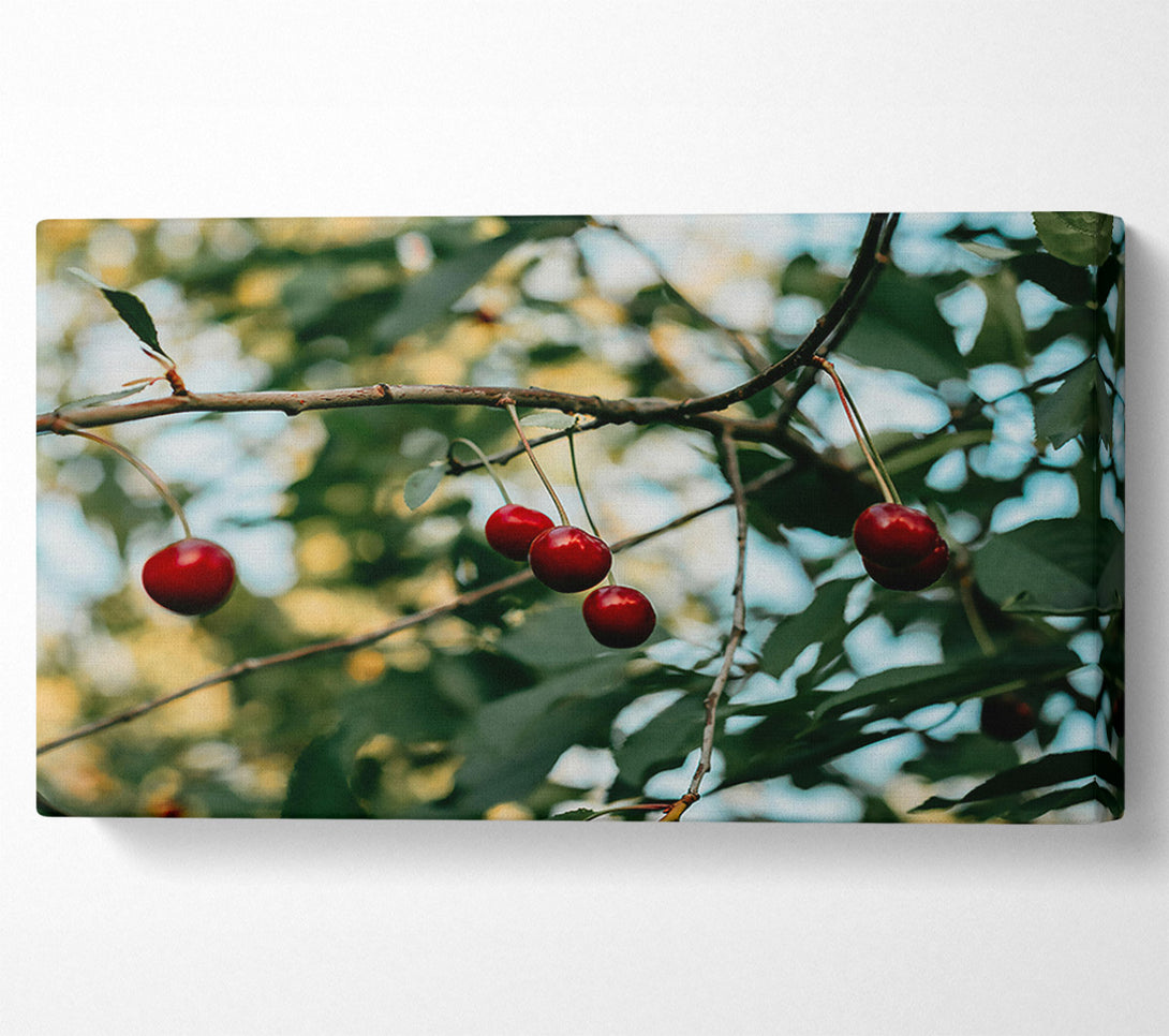  A Canvas Print of Red Cherries Hanging High Canvas Art