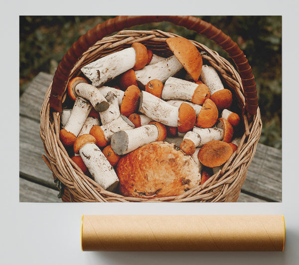 Orange Harvest Basket Poster