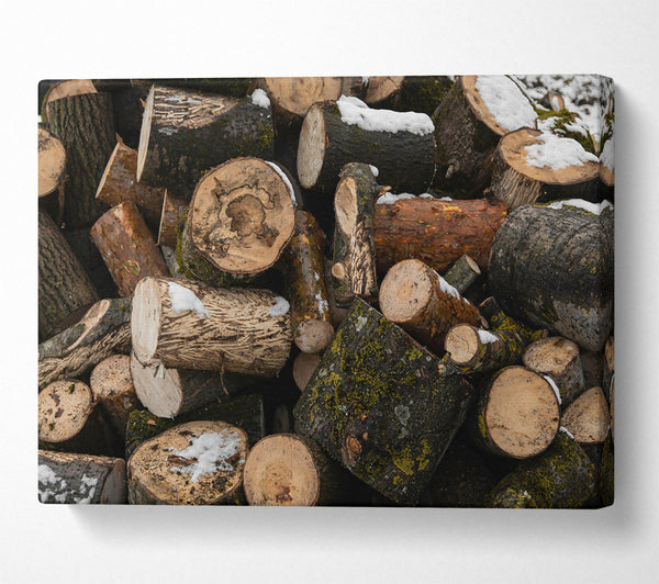  A Canvas Print of Brown Winter Logs. Canvas Art