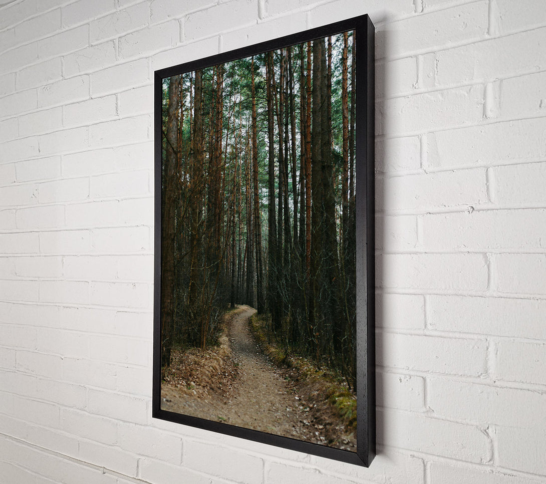  A Canvas Print of The Brown Path Through Trees Canvas Art