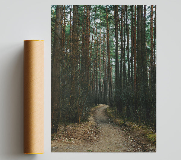The Brown Path Through Trees Poster