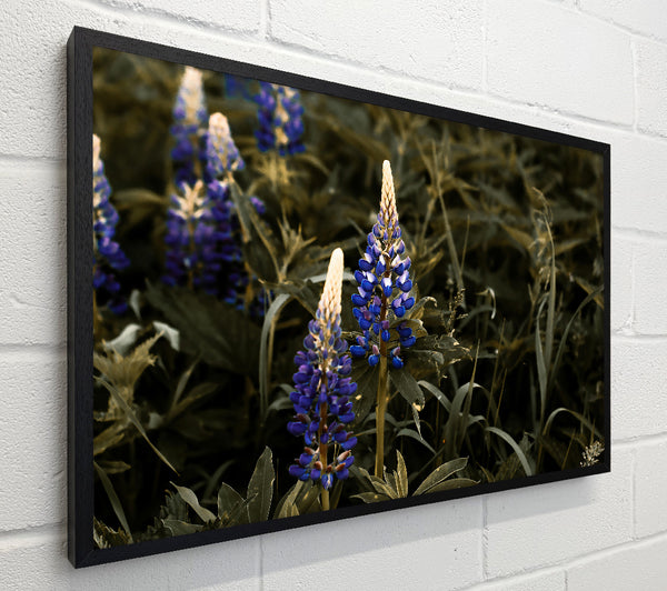 Blue Blooms In Sepia