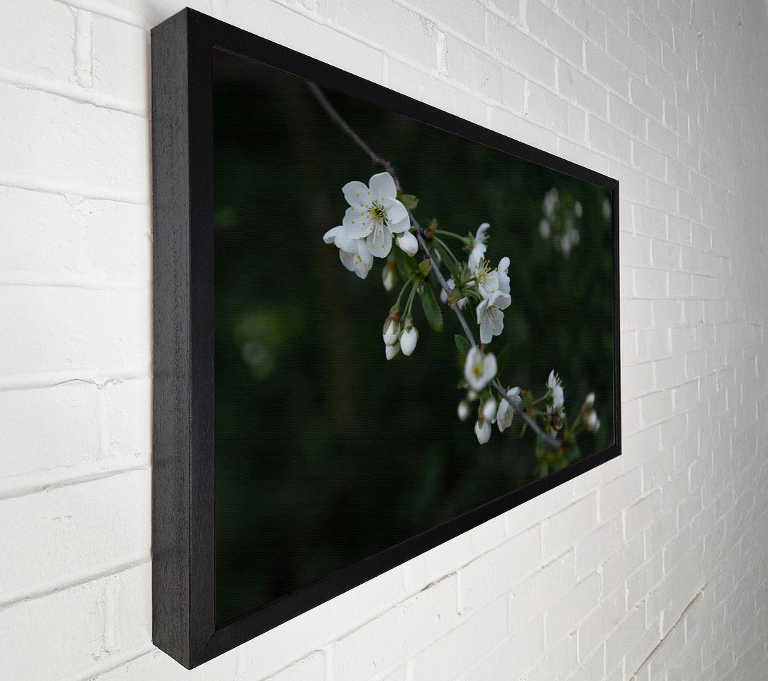  A Canvas Print of Green Blossom Whisper Canvas Art