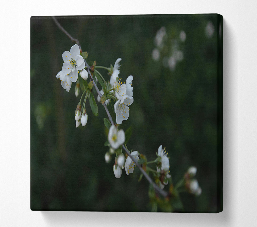  A Canvas Print of Green Blossom Whisper Canvas Art