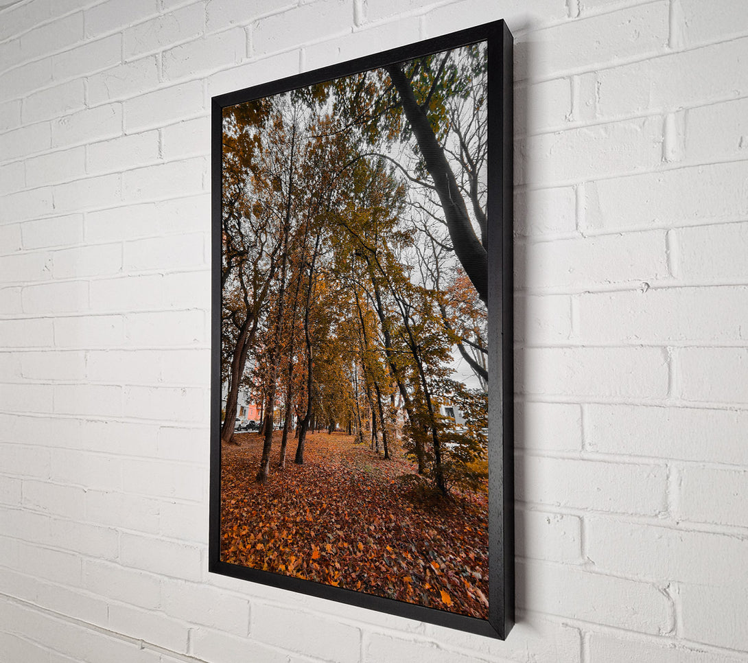  A Canvas Print of Golden Canopy Path Canvas Print
