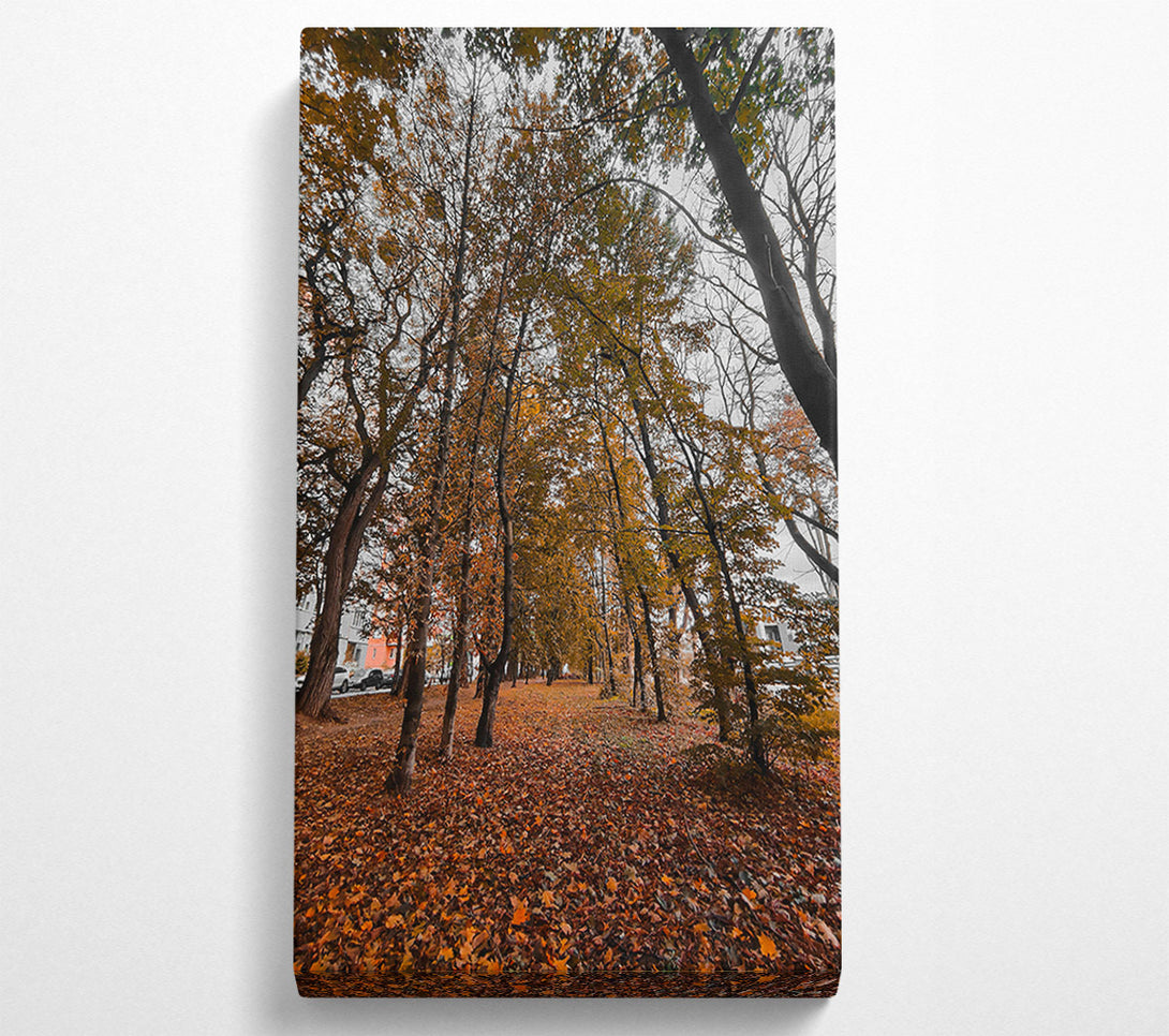  A Canvas Print of Golden Canopy Path Canvas Print