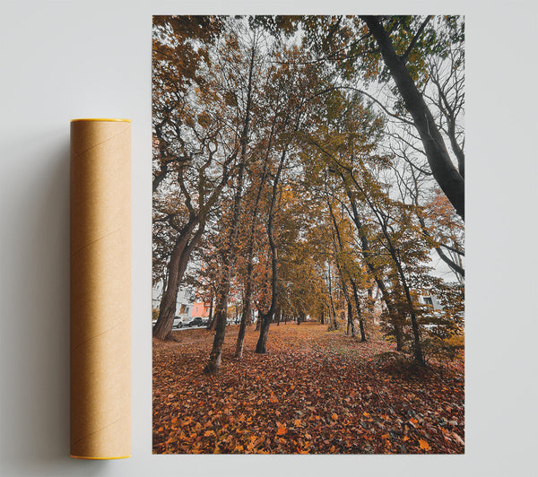 Golden Canopy Path Print