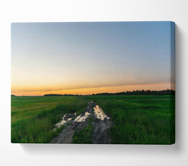  A Canvas Print of Golden Field Path Canvas Art