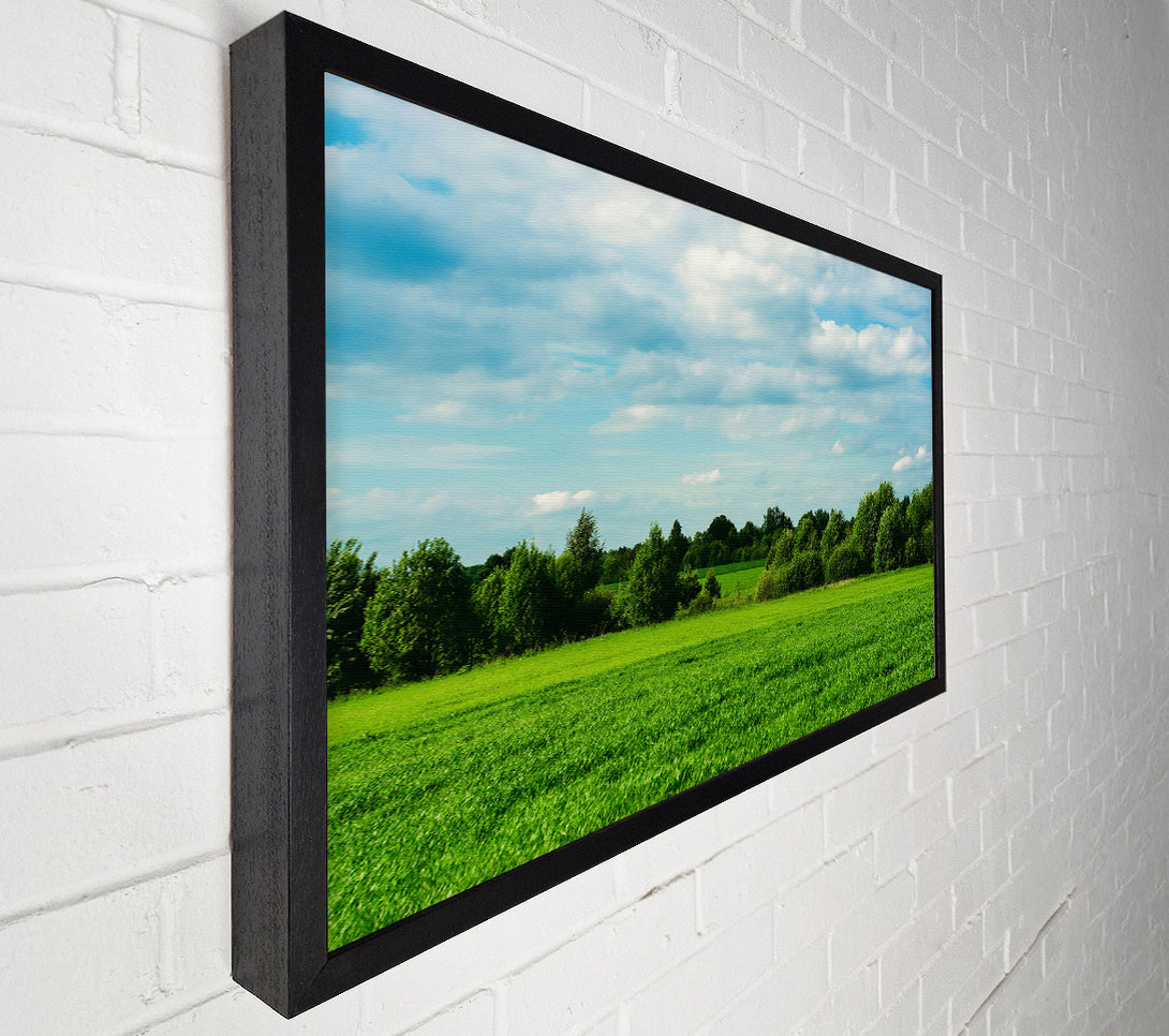  A Canvas Print of Green Field Serenity Canvas Print