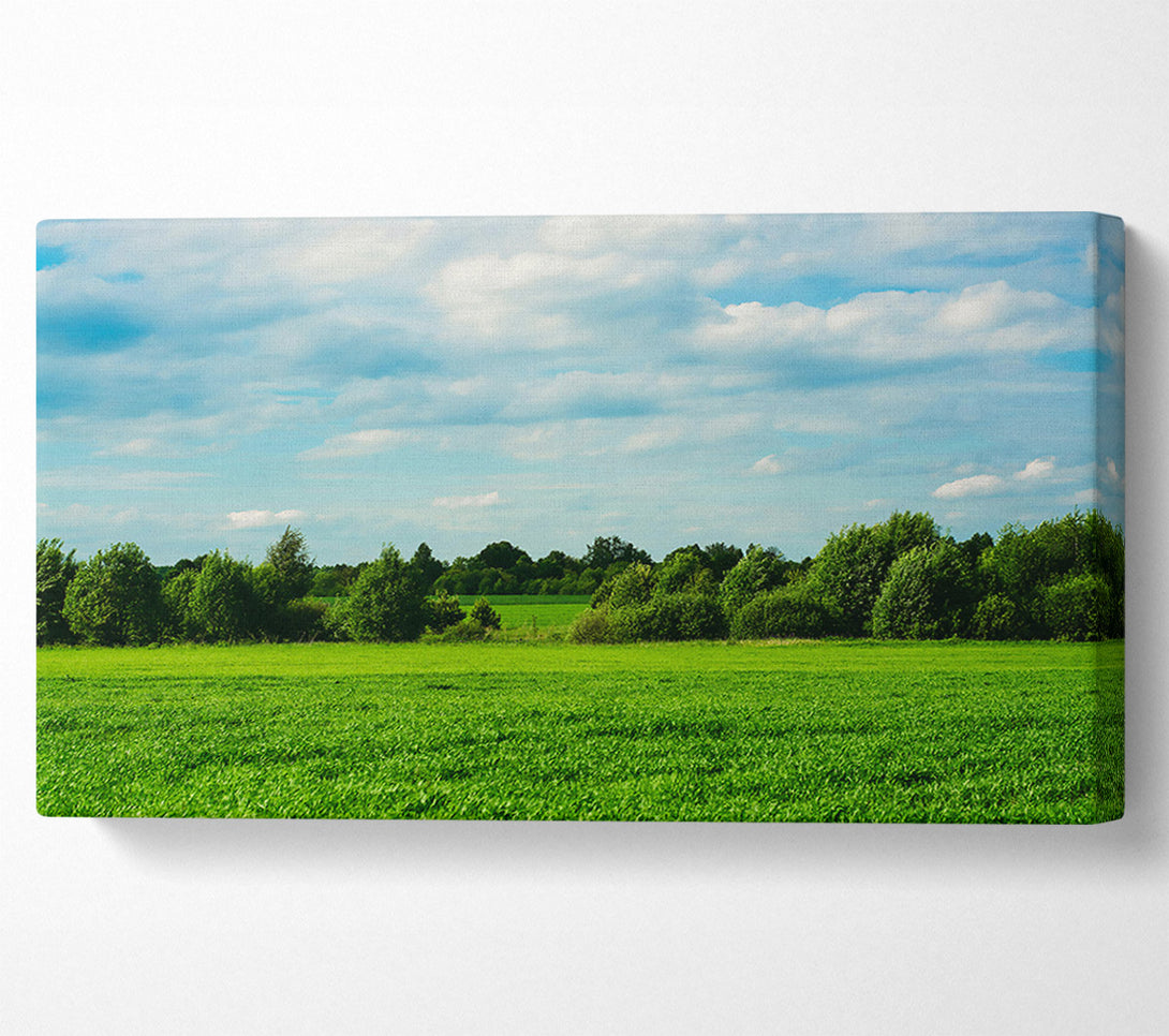  A Canvas Print of Green Field Serenity Canvas Print