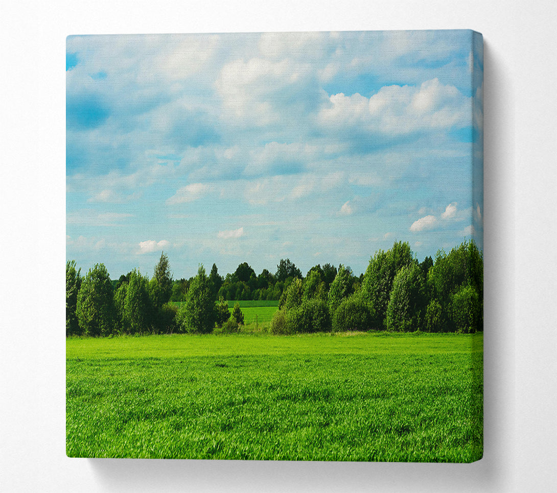  A Canvas Print of Green Field Serenity Canvas Print
