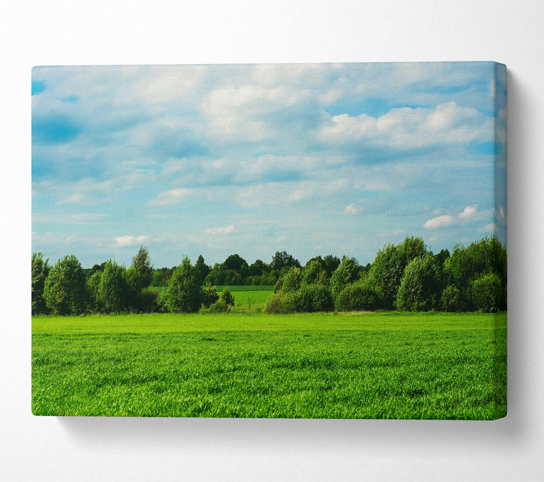  A Canvas Print of Green Field Serenity Canvas Print