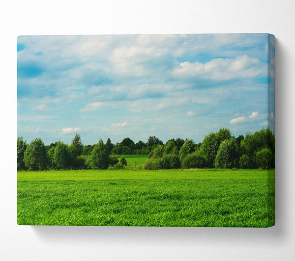  A Canvas Print of Green Field Serenity Canvas Print