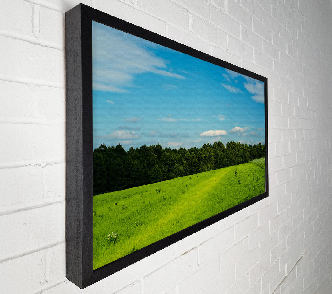  A Canvas Print of Green Fields And Sky Canvas Print