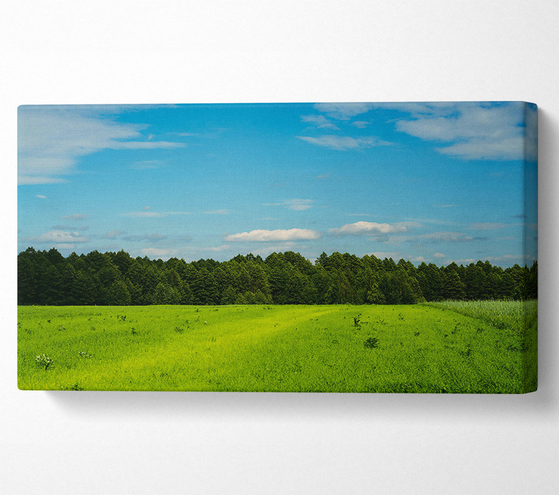  A Canvas Print of Green Fields And Sky Canvas Print