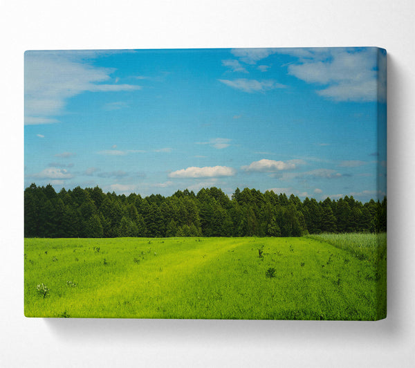  A Canvas Print of Green Fields And Sky Canvas Print