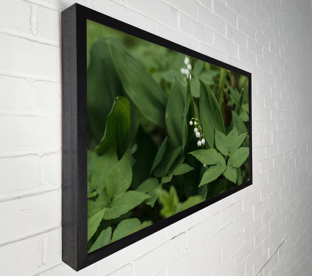  A Canvas Print of Green Lily Bloom Canvas Art