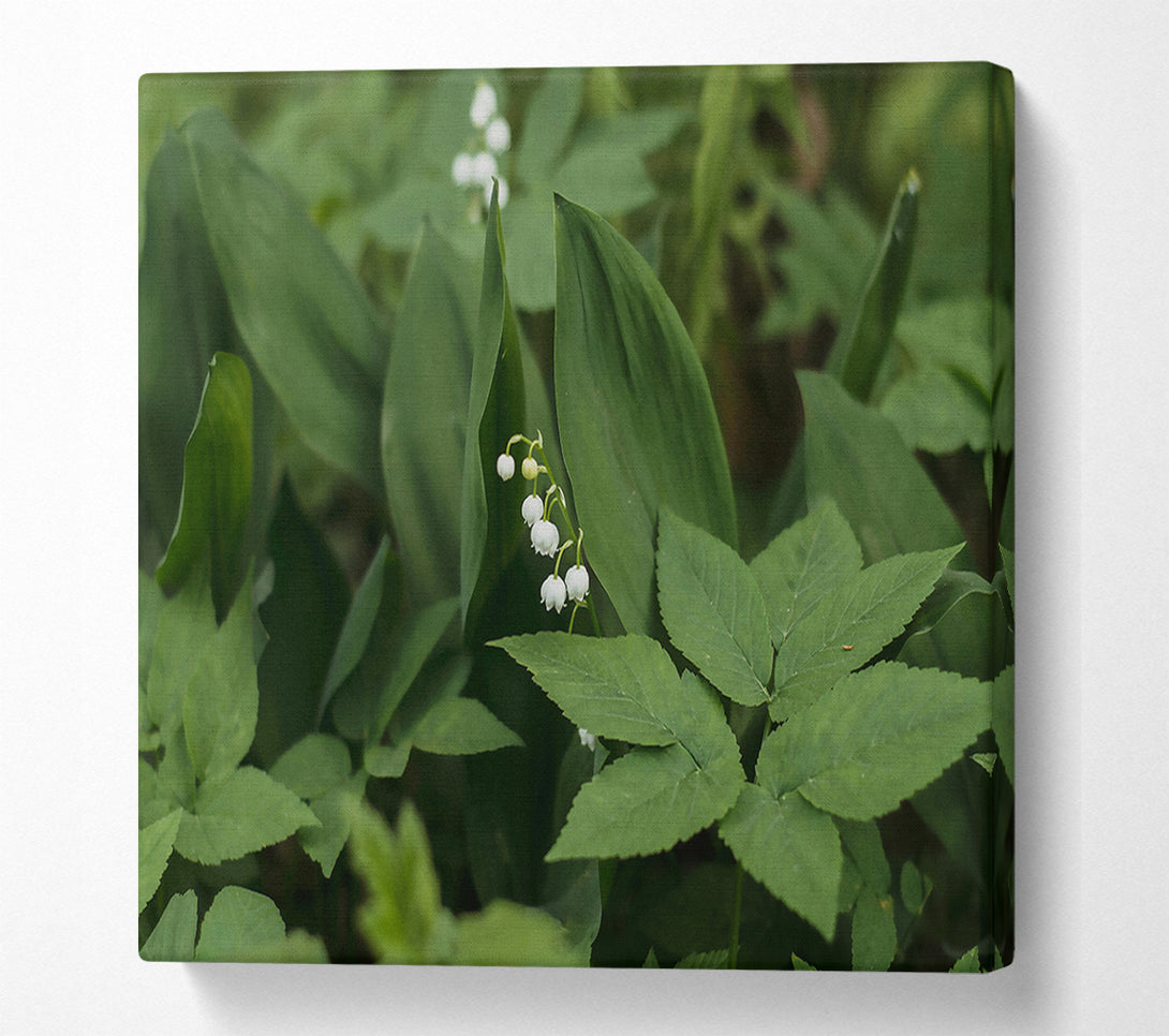  A Canvas Print of Green Lily Bloom Canvas Art