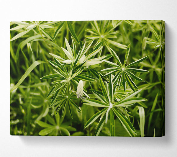  A Canvas Print of Emerald Green Sprigs Canvas Art