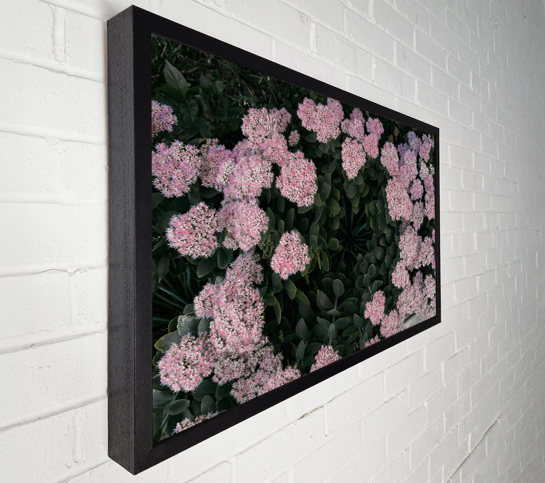  A Canvas Print of Pink Flower Circle Canvas Print