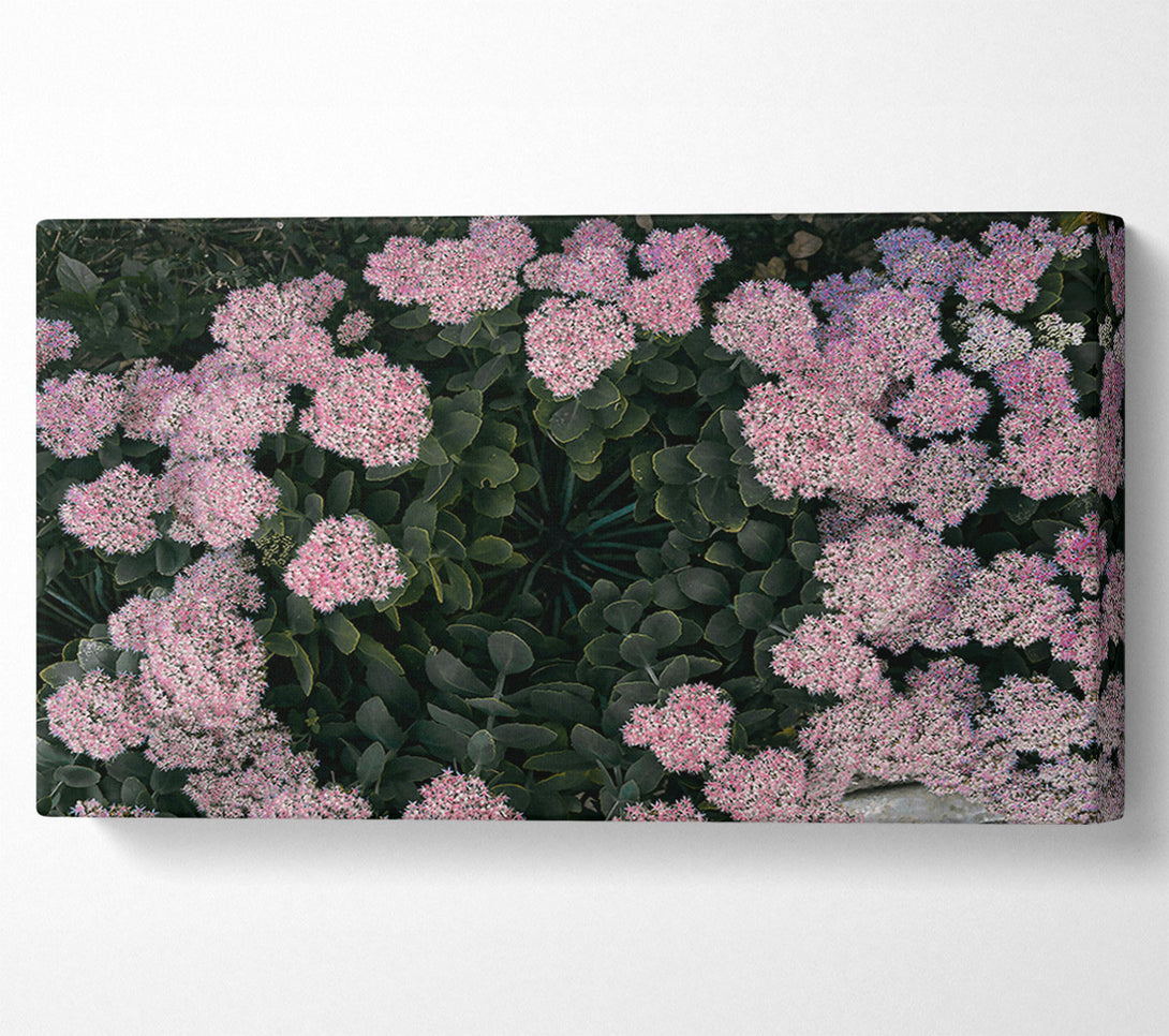  A Canvas Print of Pink Flower Circle Canvas Print