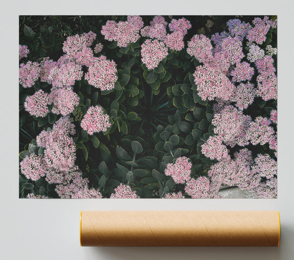Pink Flower Circle Print