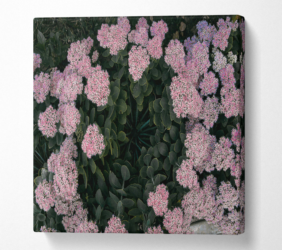  A Canvas Print of Pink Flower Circle Canvas Print