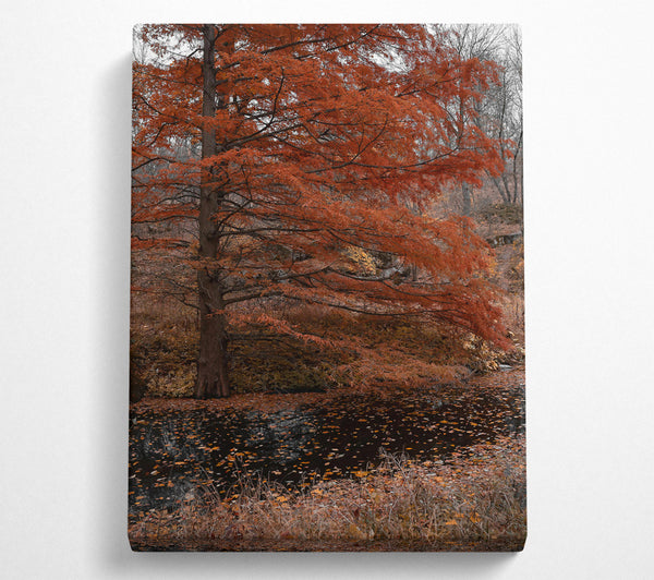  A Canvas Print of Autumn'S Orange Reflection Canvas Wall Art