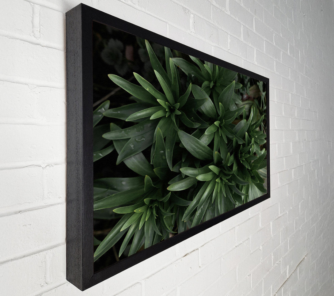  A Canvas Print of Emerald Green Sprouts Canvas Print