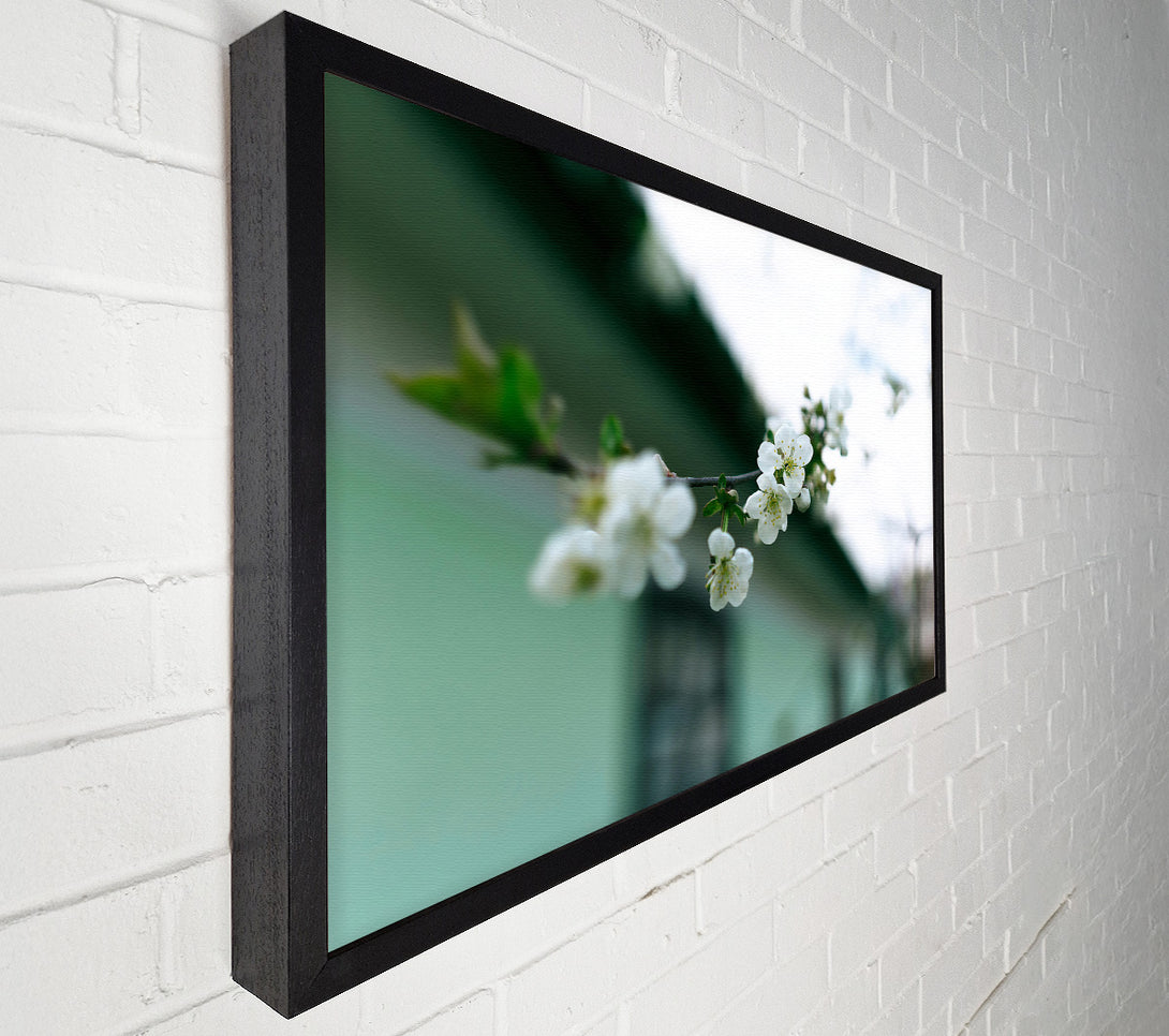  A Canvas Print of Green Bloom'S Embrace Canvas Wall Art