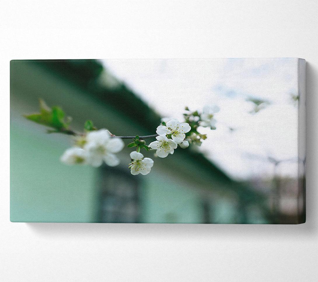  A Canvas Print of Green Bloom'S Embrace Canvas Wall Art