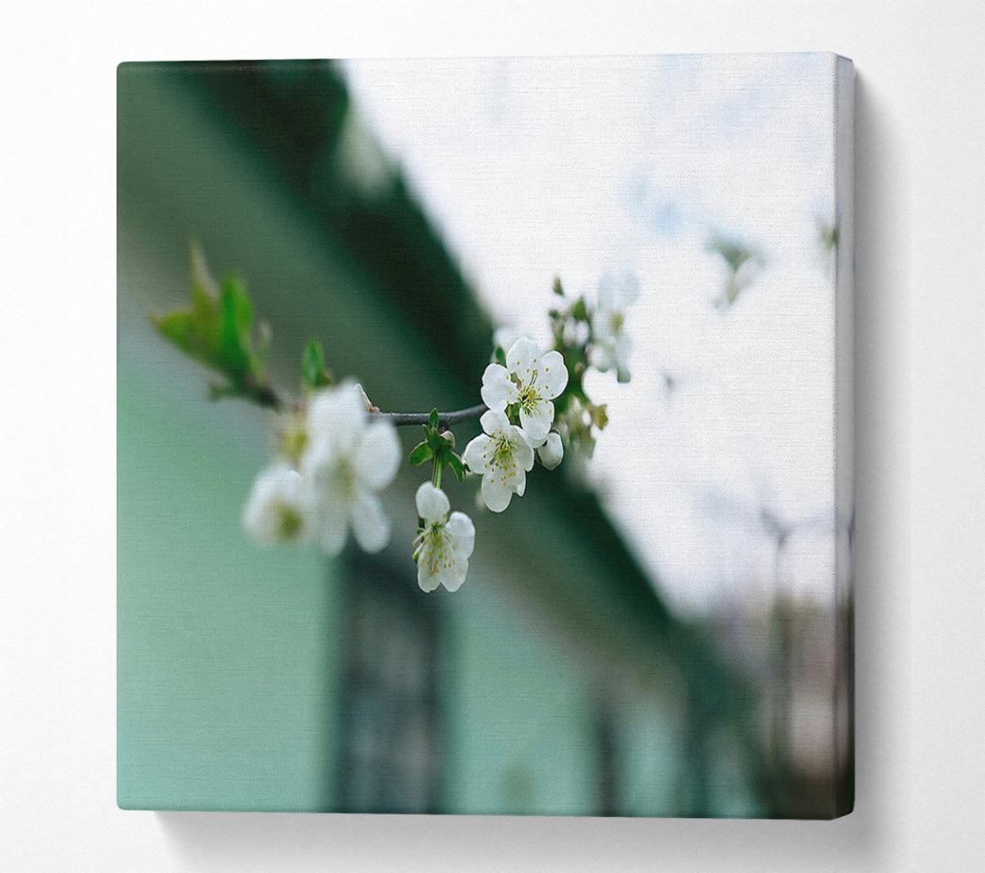  A Canvas Print of Green Bloom'S Embrace Canvas Wall Art