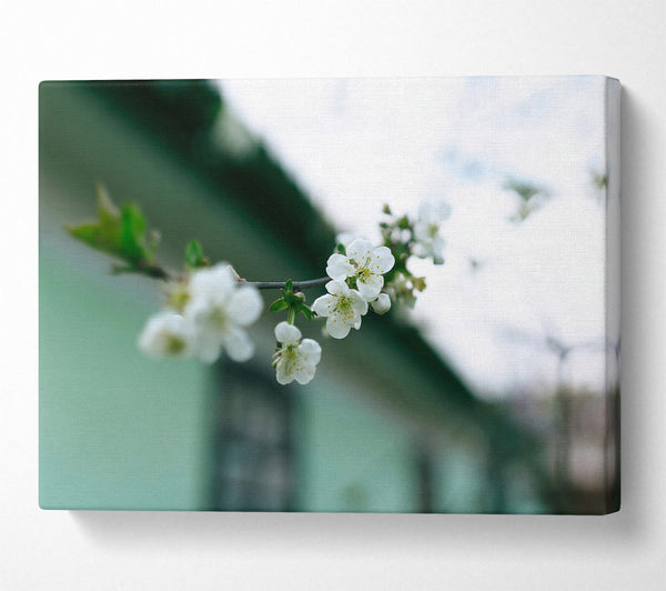  A Canvas Print of Green Bloom'S Embrace Canvas Wall Art