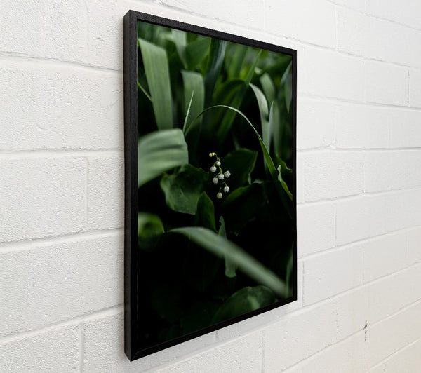 Emerald Lily Whisper
