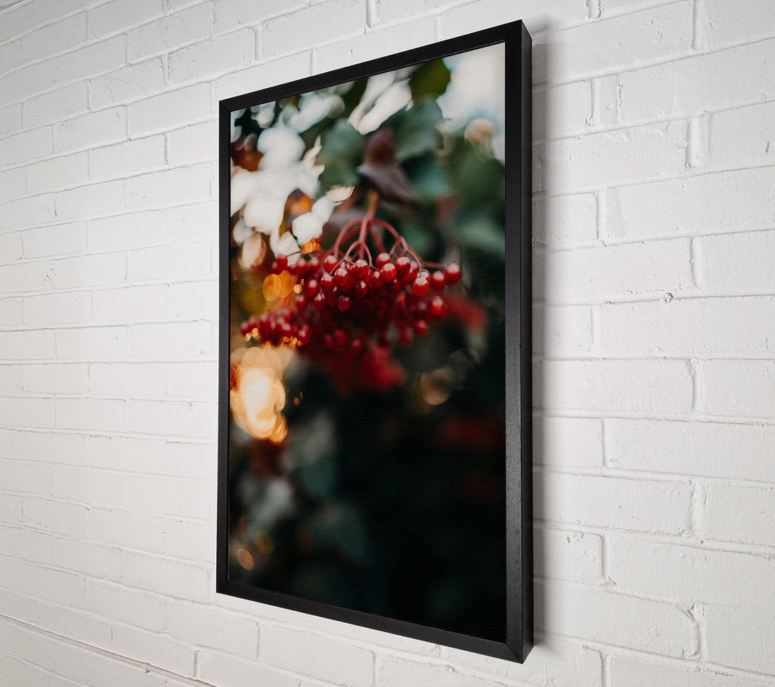  A Canvas Print of Red Berries In Bloom Canvas Art