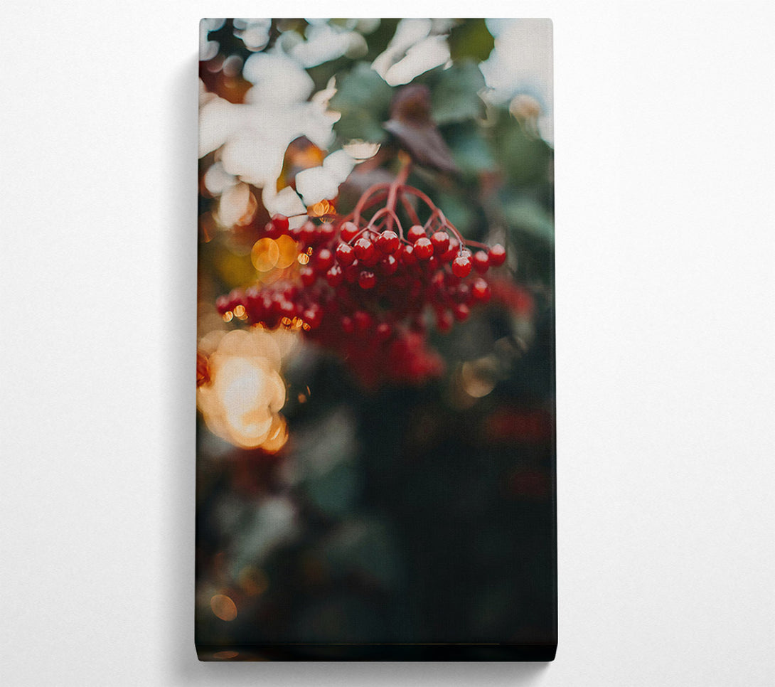  A Canvas Print of Red Berries In Bloom Canvas Art