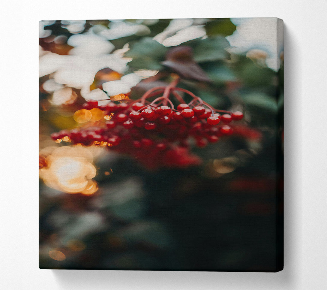  A Canvas Print of Red Berries In Bloom Canvas Art