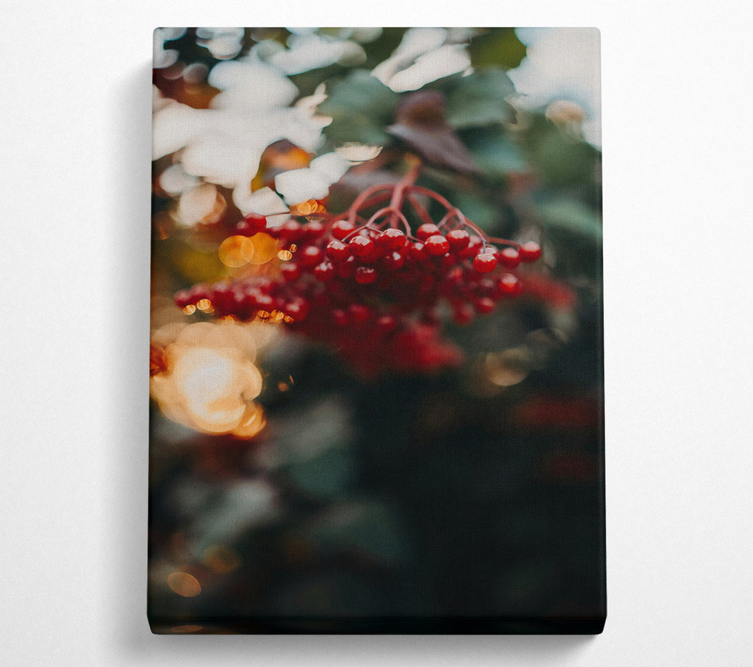  A Canvas Print of Red Berries In Bloom Canvas Art