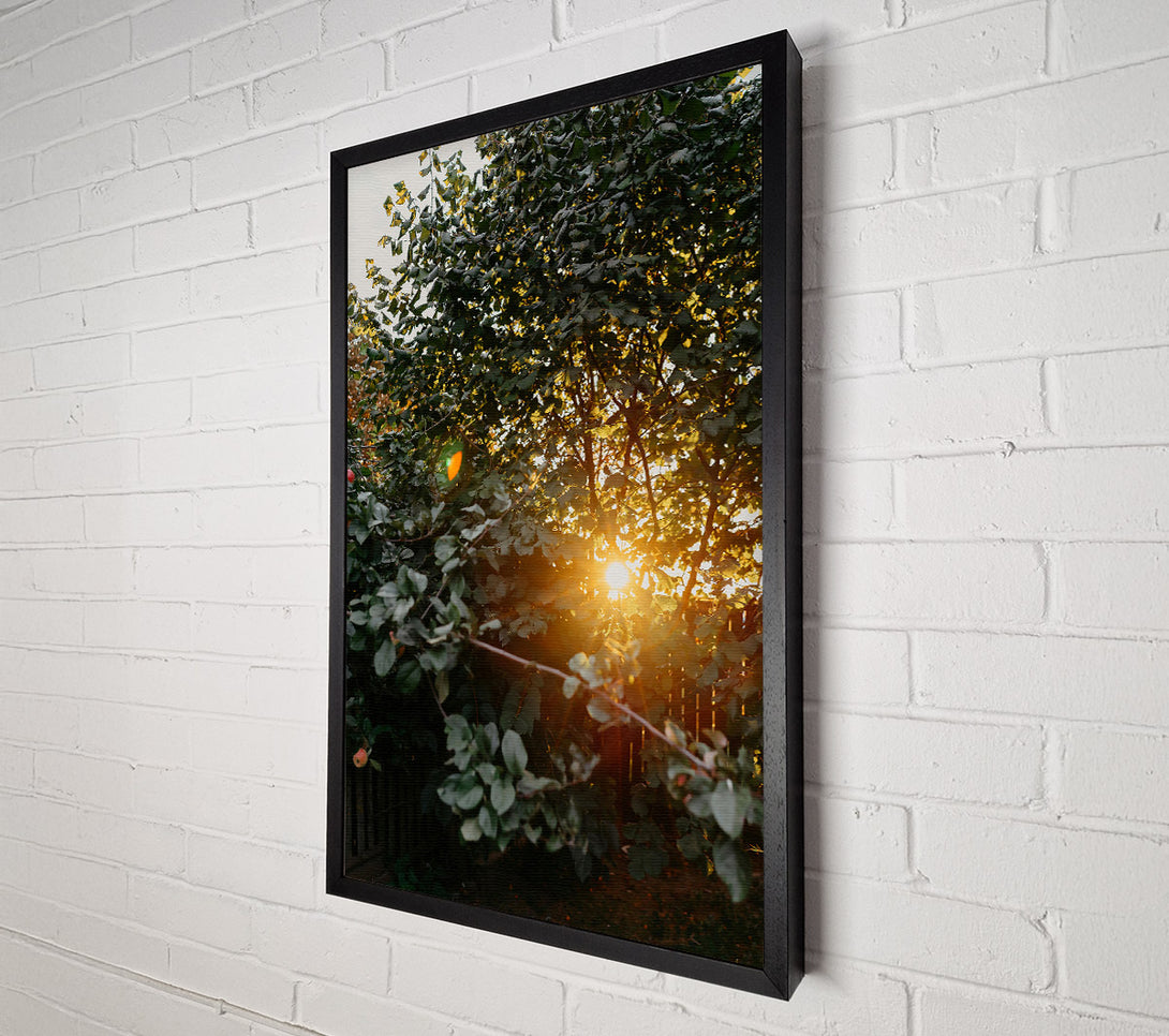  A Canvas Print of Golden Leaves And Sunbeams Canvas Art