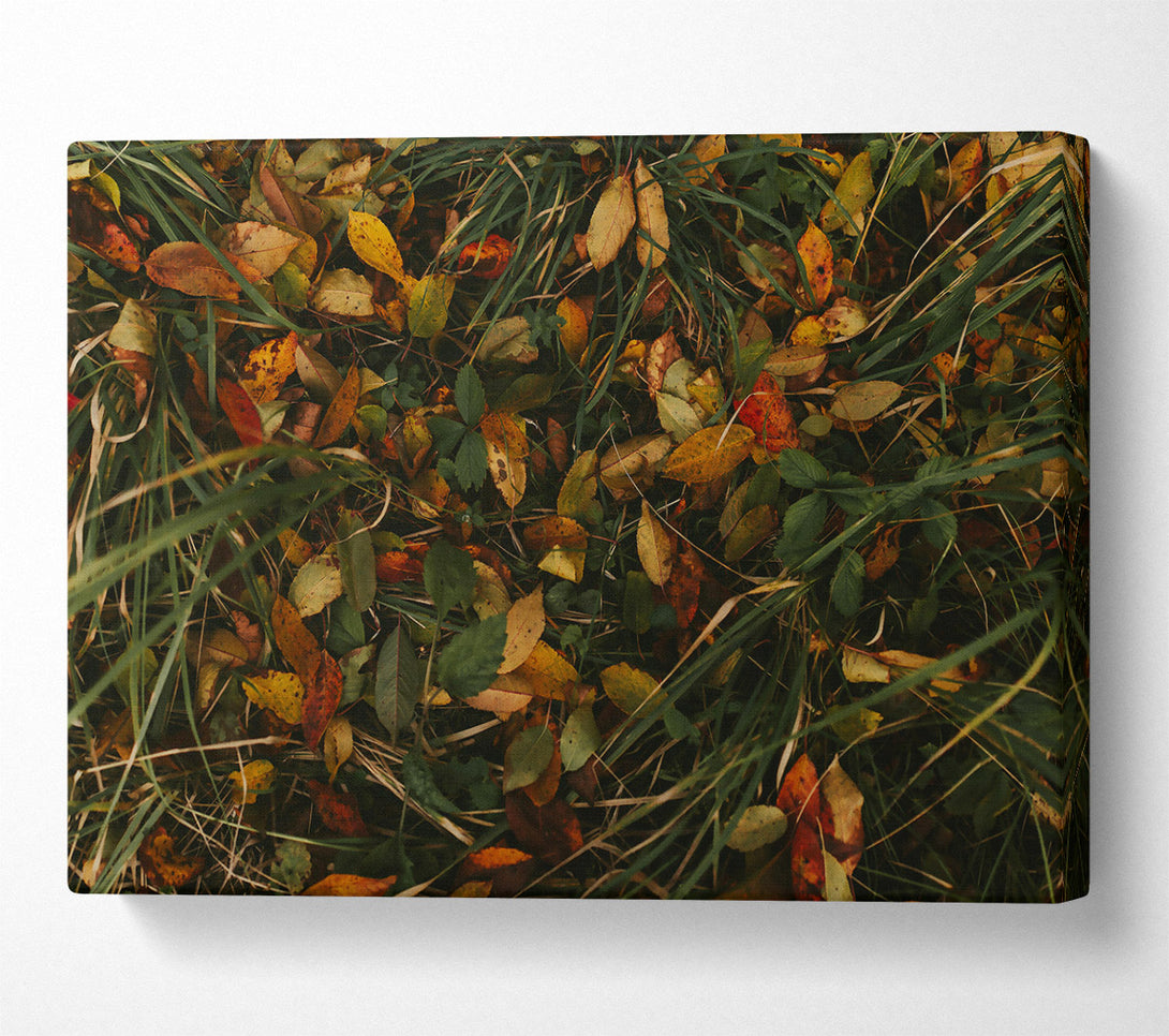  A Canvas Print of Golden Autumn Leaves Canvas Wall Art