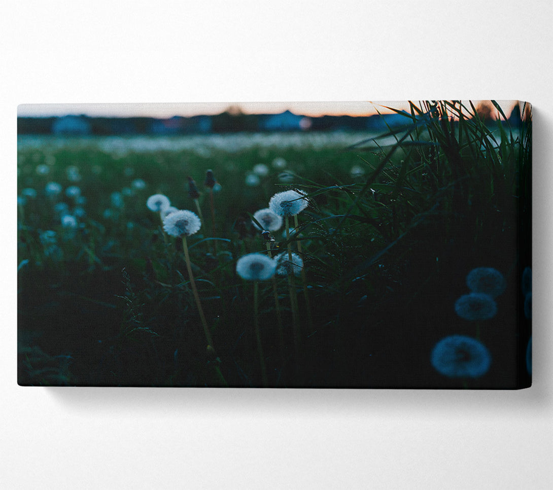  A Canvas Print of Green Field Wishes Canvas Wall Art