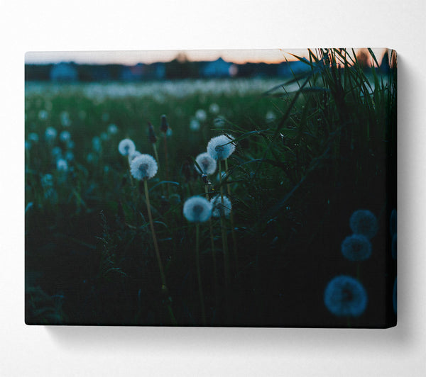  A Canvas Print of Green Field Wishes Canvas Wall Art