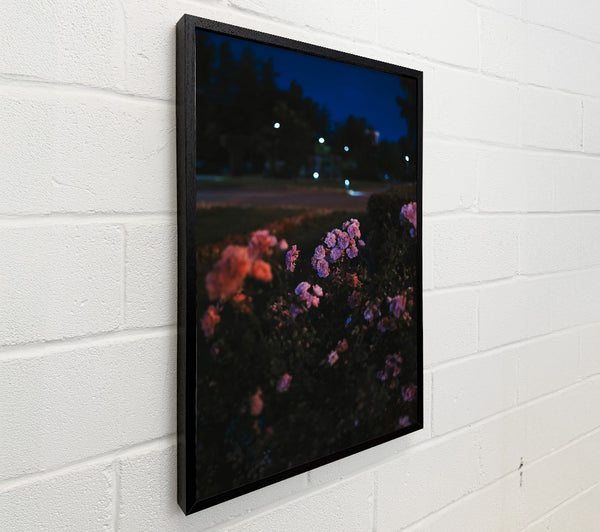 Purple Bloom Night Light