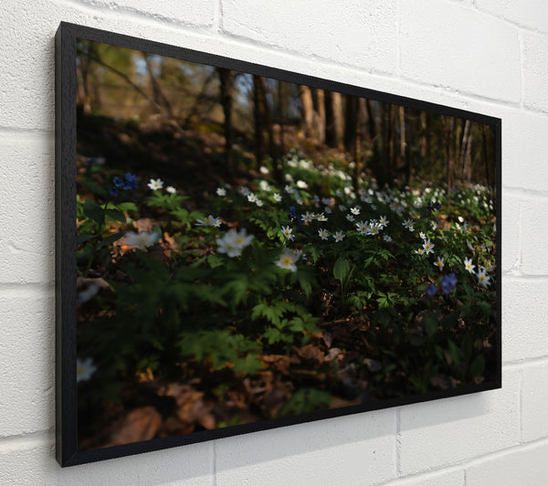 Green Woodland Blooms