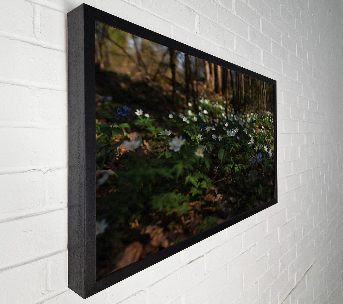  A Canvas Print of Green Woodland Blooms Canvas Art