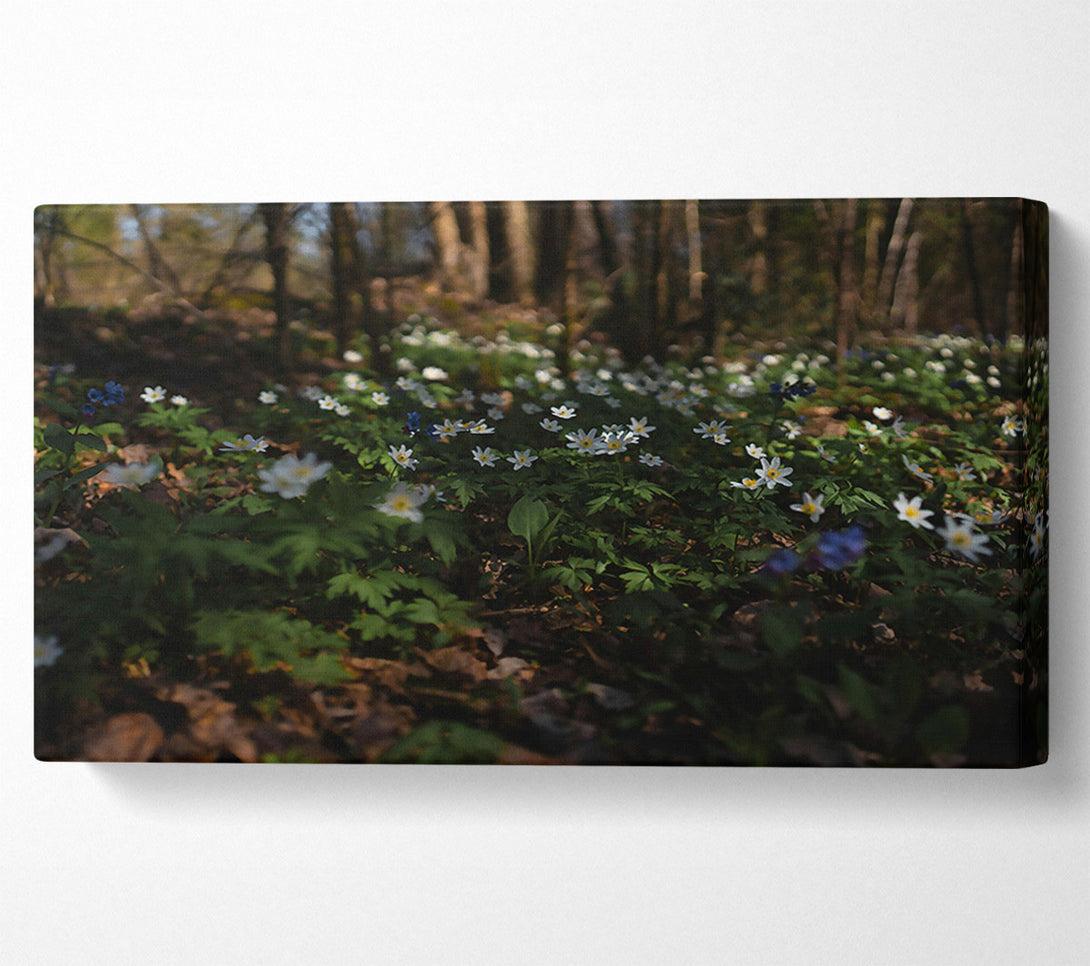  A Canvas Print of Green Woodland Blooms Canvas Art