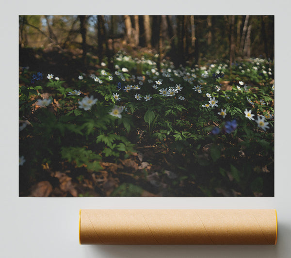 Green Woodland Blooms Giclee Print