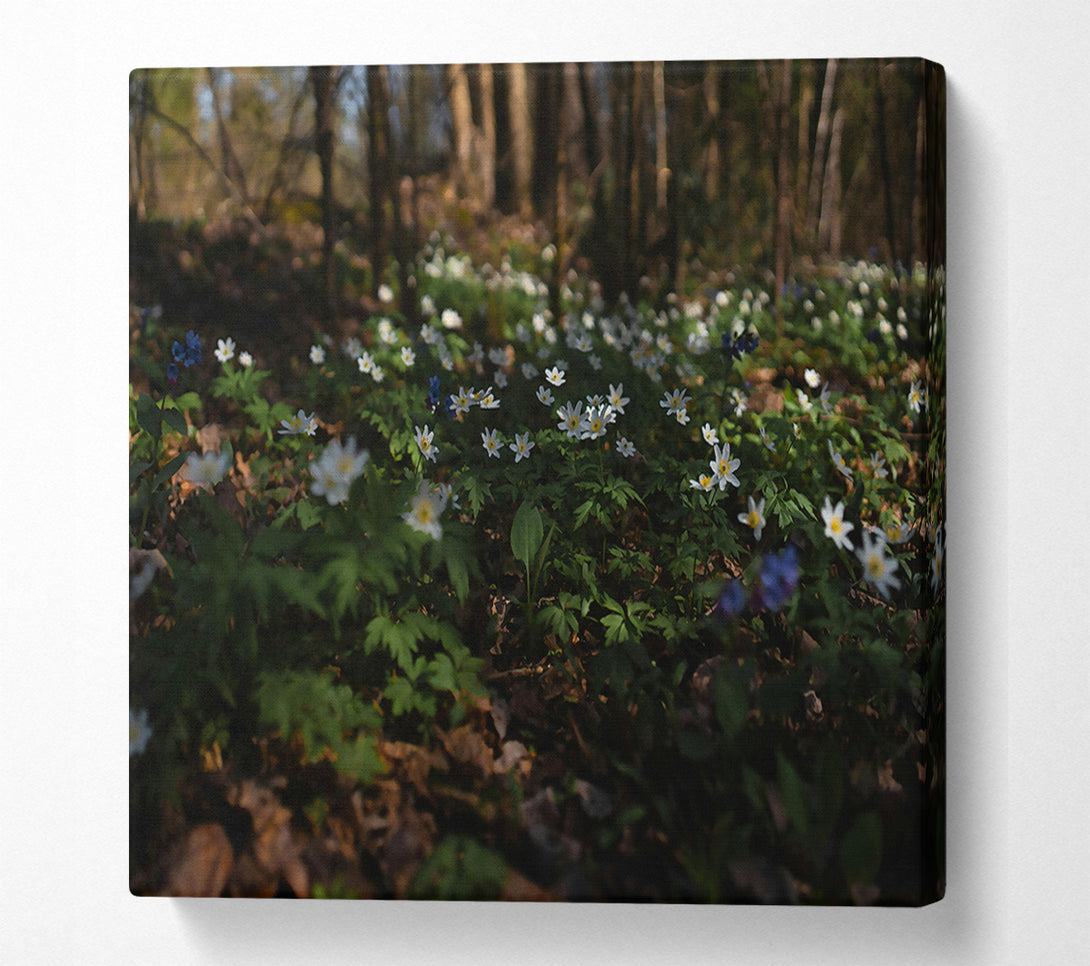  A Canvas Print of Green Woodland Blooms Canvas Art