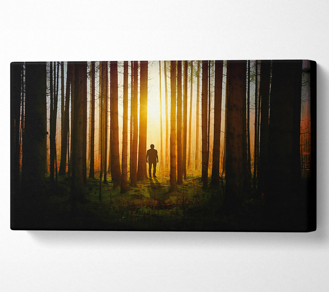  A Canvas Print of Golden Forest Silhouette Canvas Art